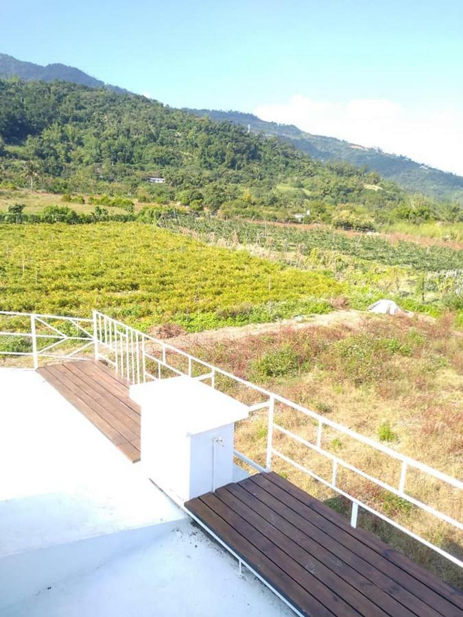 Back To Real Hostel Taitung Exterior foto