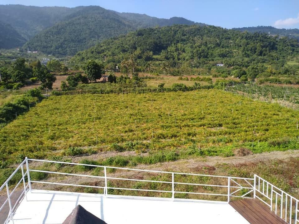 Back To Real Hostel Taitung Exterior foto